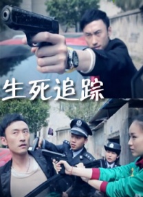国产不卡视频在线